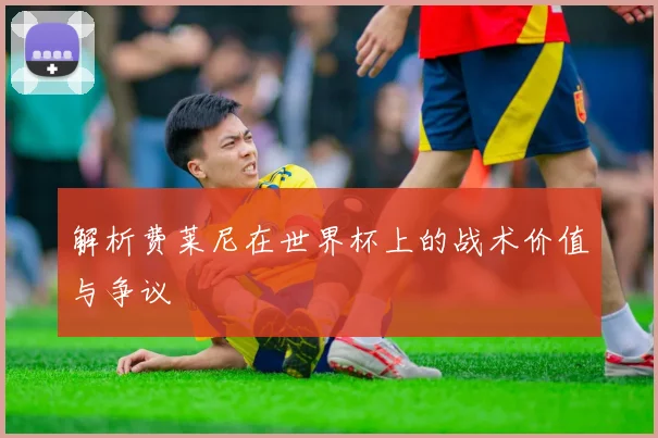 解析费莱尼在世界杯上的战术价值与争议