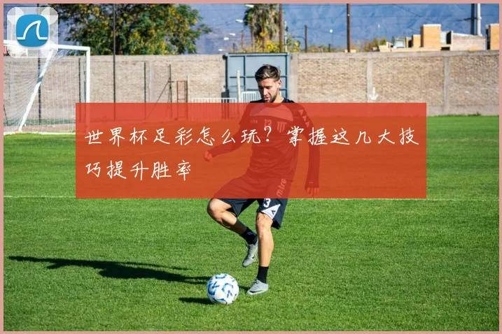 世界杯足彩怎么玩？掌握这几大技巧提升胜率