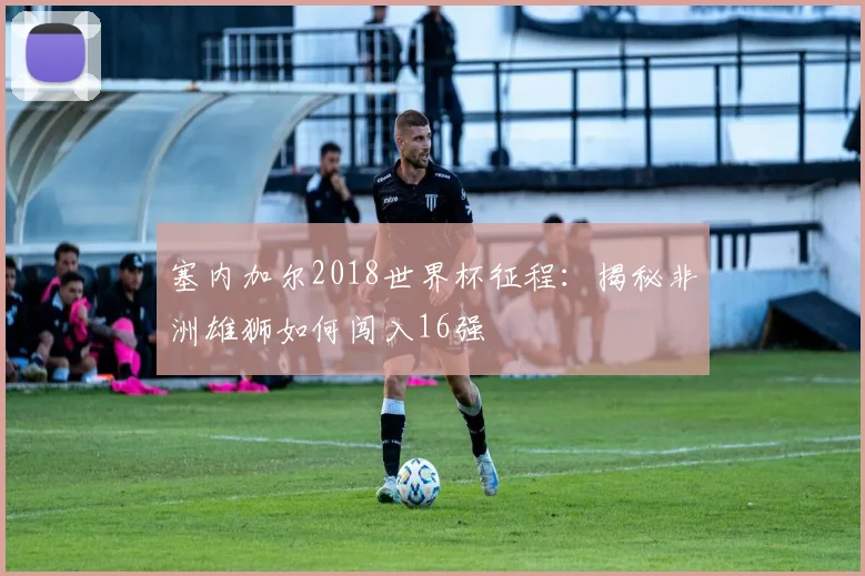 塞内加尔2018世界杯征程:揭秘非洲雄狮如何闯入16强
