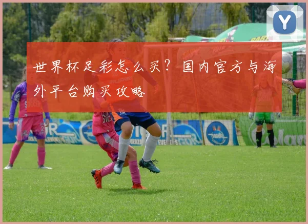 世界杯足彩怎么买？国内官方与海外平台购买攻略