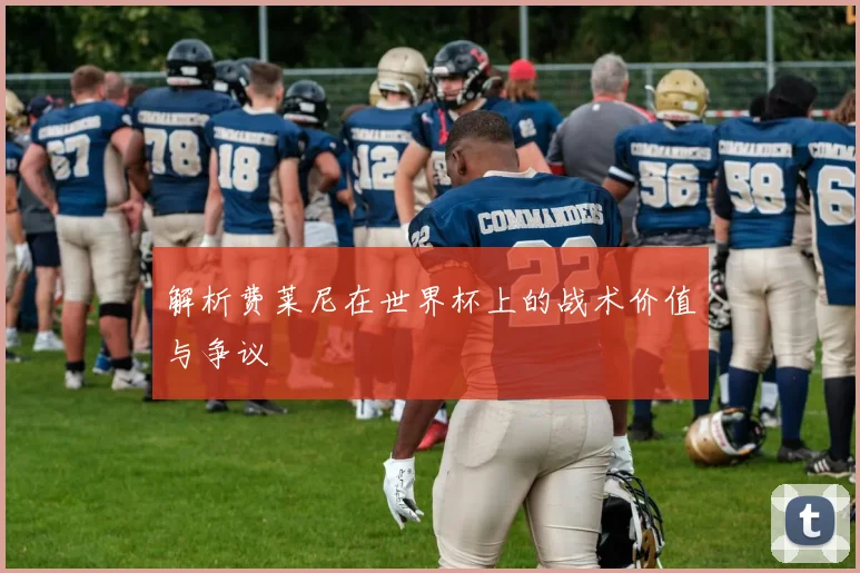 解析费莱尼在世界杯上的战术价值与争议