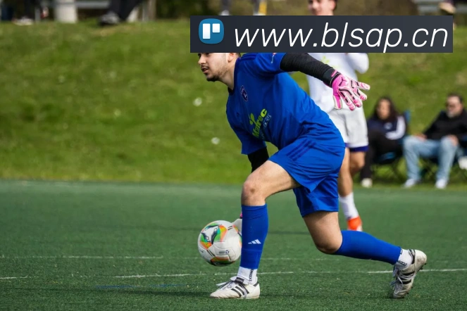 米兰官方网站入口平台生态图