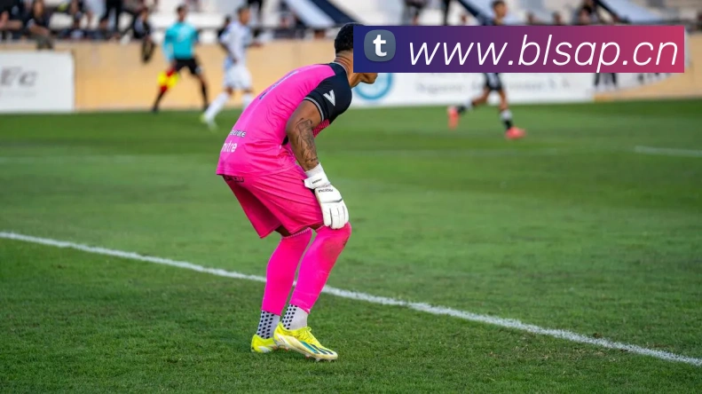 米兰官方网站入口APP 封面图